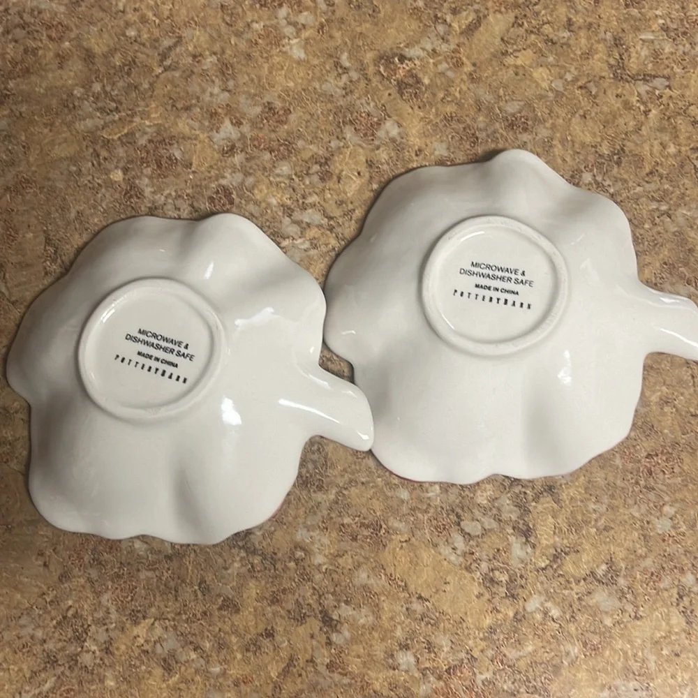 Pottery Barn Flower Bowl Duo